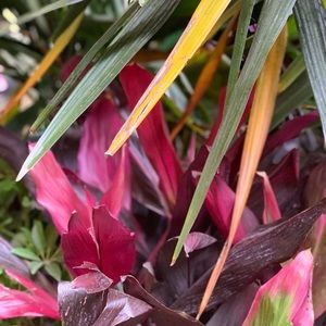 Meet your Posher, Kendra